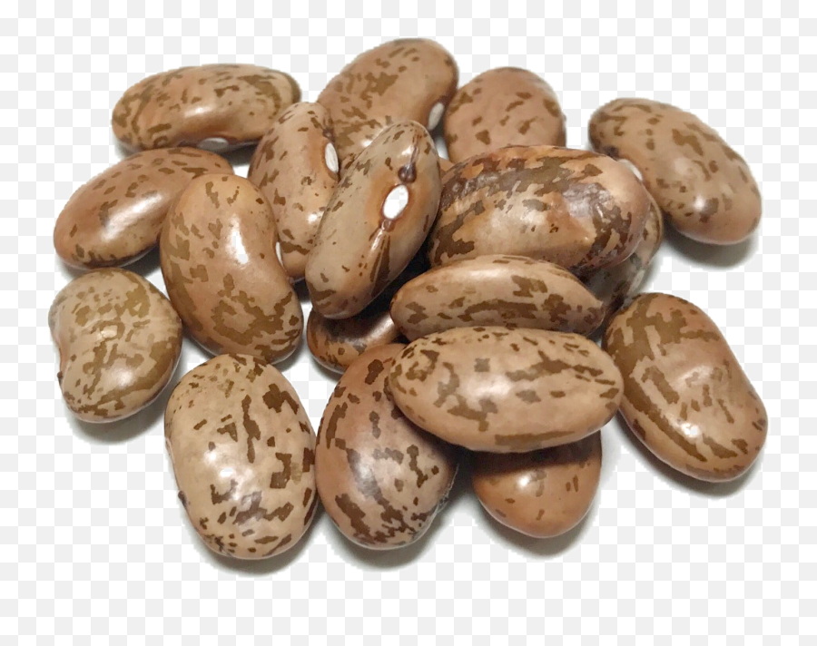 Download Hd Shady Side Farm - Dry Beans Transparent Background Png,Beans Transparent