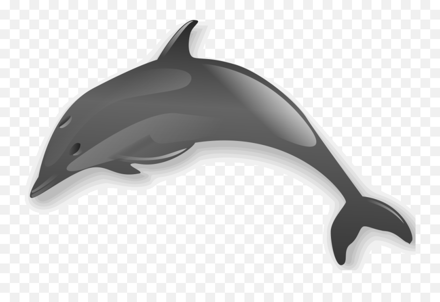 Dolphin Clip Art Transparent Png Image - Dolphin Clipart,Dolphin Transparent Background