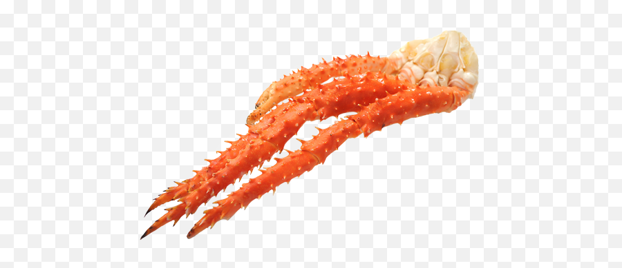 Alaska King Crab Leg - Cephalopod Png,Crab Legs Png