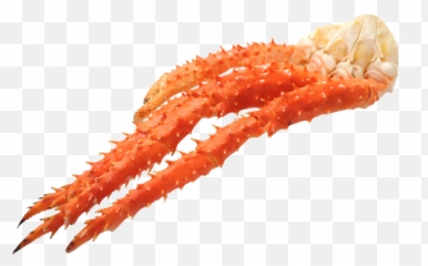 Alaska King Crab Leg - Cephalopod Png,Crab Legs Png