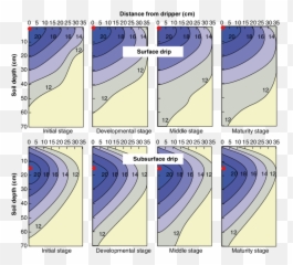 Download Spatial Distribution Of Water In Soil For Surface - Under Drip Irrigation png