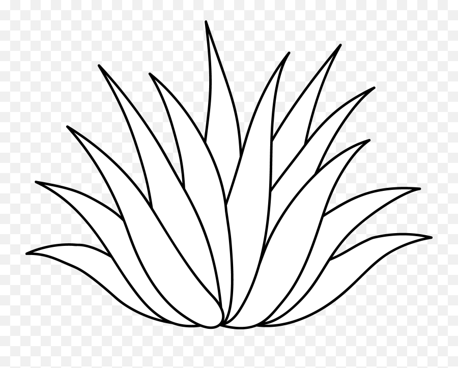 Line Art - Easy Aloe Vera Drawing Png,Aloe Vera Plant Png