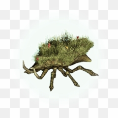 Grass Beetle - BDO Codex png