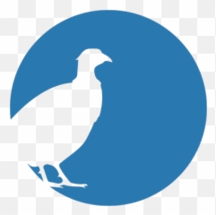 High Quality Livestock Feeds Worcestershire Estate Country - Phasianidae png