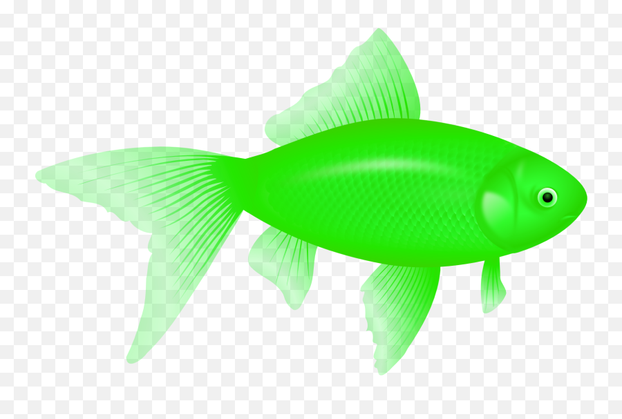 Fish Swimming In Money Clipart Freeuse - Green Fish Png,Fish Swimming Png