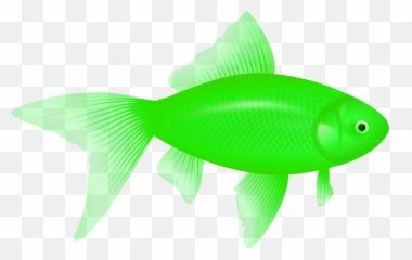 Fish Swimming In Money Clipart Freeuse - Green Fish Png,Fish Swimming Png