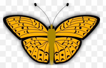 Clip Art Monarch Butterfly - ClipArt Best Draw Yellow Wing And Color png