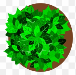 Tree Top Royalty Free Library Png Files - Plant Vector View
