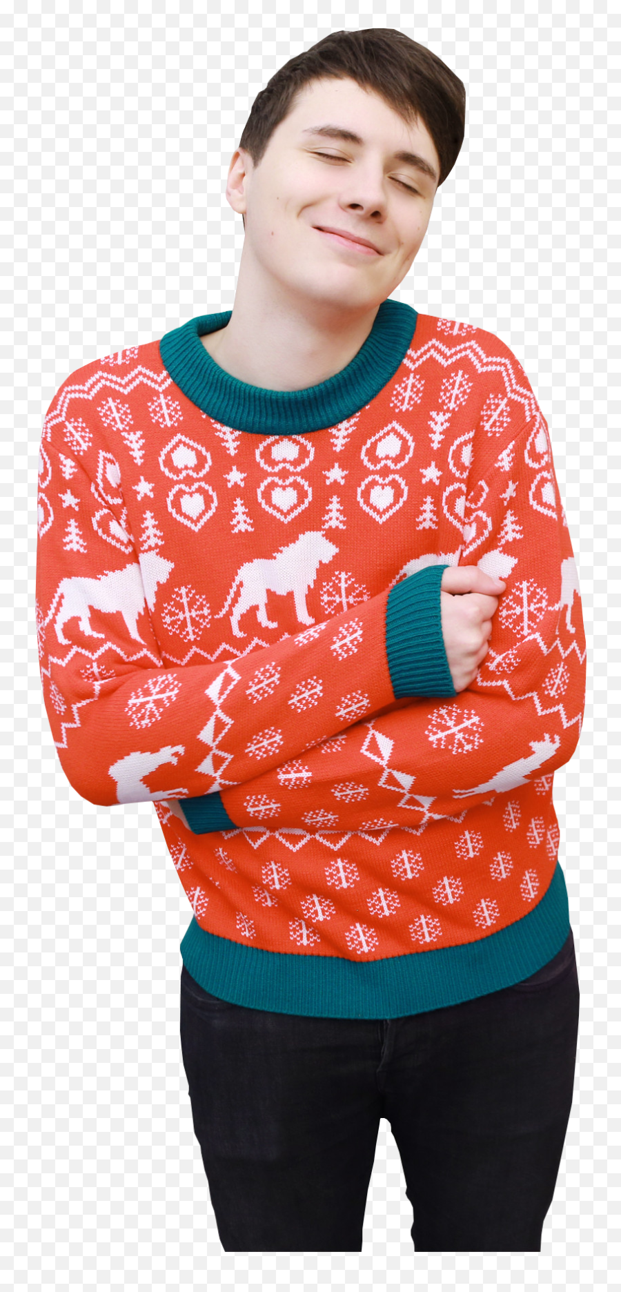 Download Dan And Phil Tumblr Icons Png - Dan And Phil Christmas Jumper,Portrait Icon Tumblr