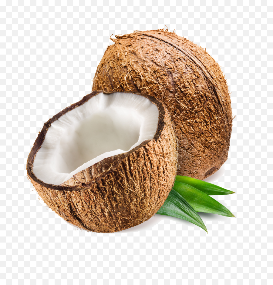 Coconut Png Transparent Photo - Transparent Coconut Png,Coconut Png