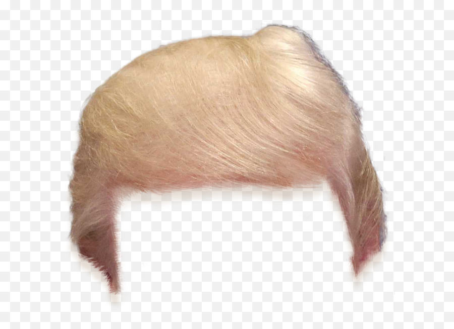 Trump Hair Transparent Png Clipart - Trump Hair,Donald Trump Hair Png
