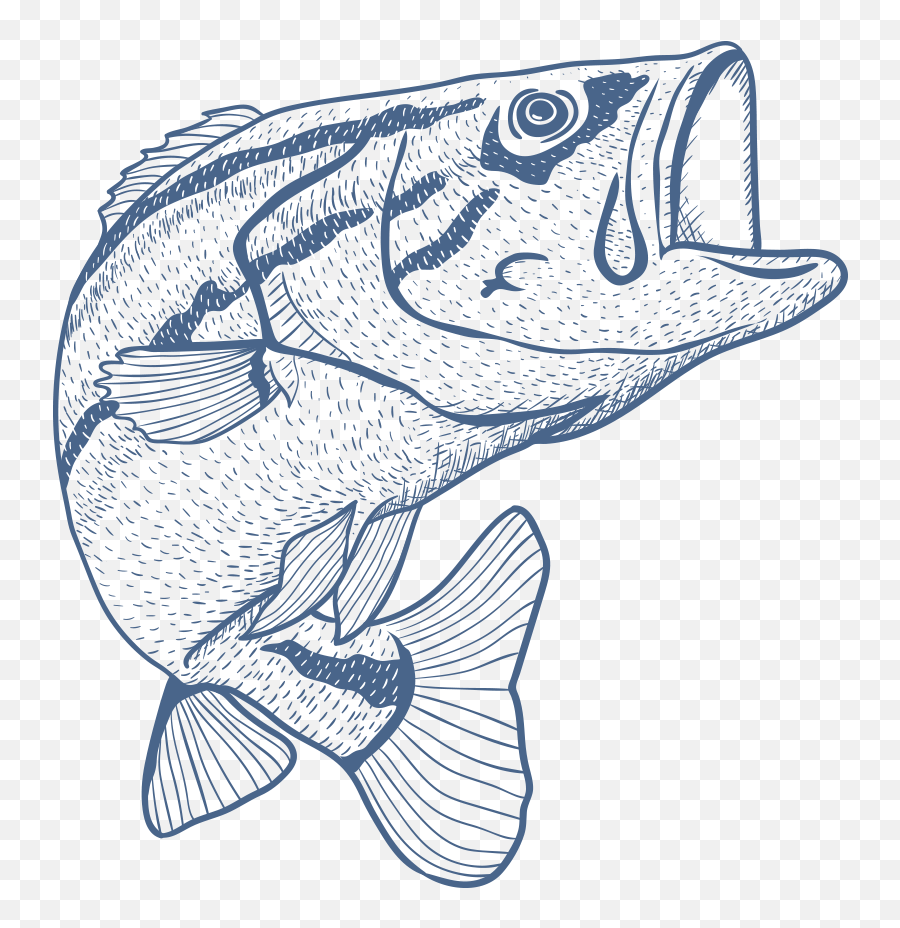Png Black Bass Fishing Rod - Fish On A Line Sketch,Bass Fish Png