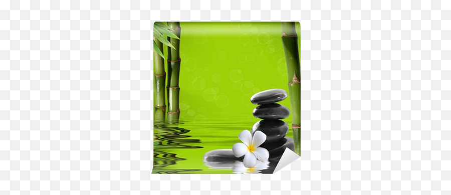 Young Green Bamboo In The Background Boke Wall Mural U2022 Pixers - We Live To Change Relaxing Music With Water Sounds Meditation Png,Bamboo Transparent Background