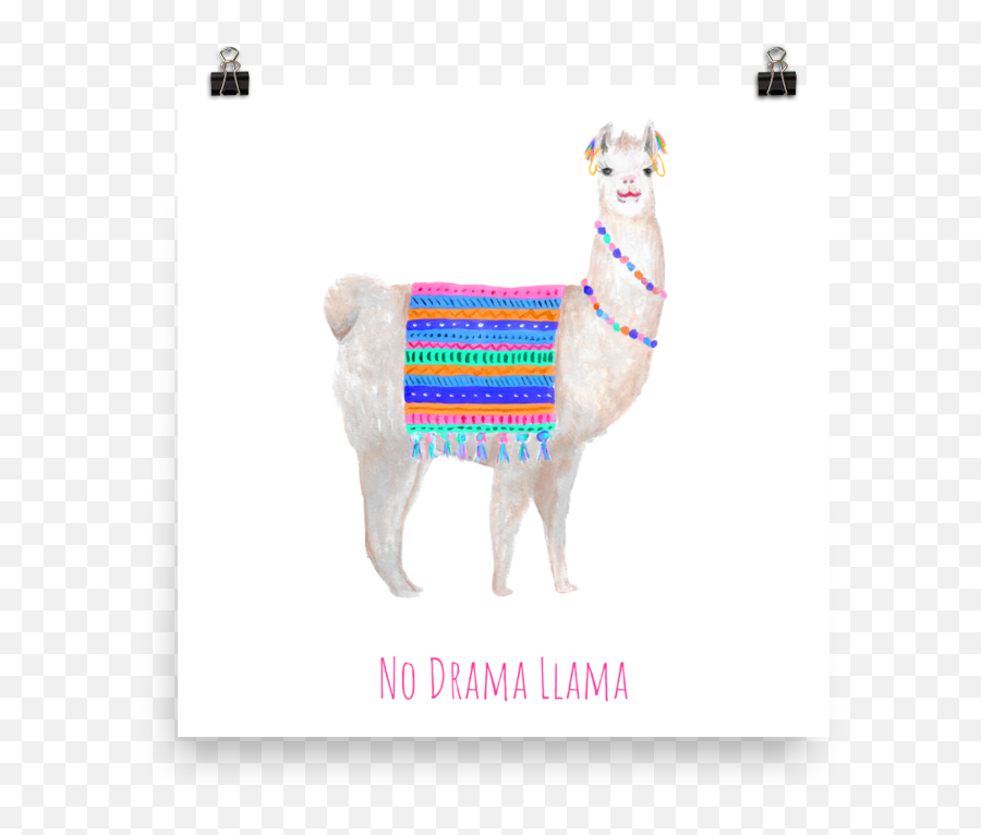Download No Drama Llama Poster - Llama Png,Llama Png