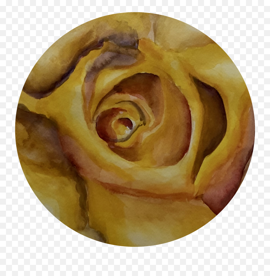 Yellow Rose Of Tech U2013 Medium - Floribunda Png,Yellow Rose Transparent