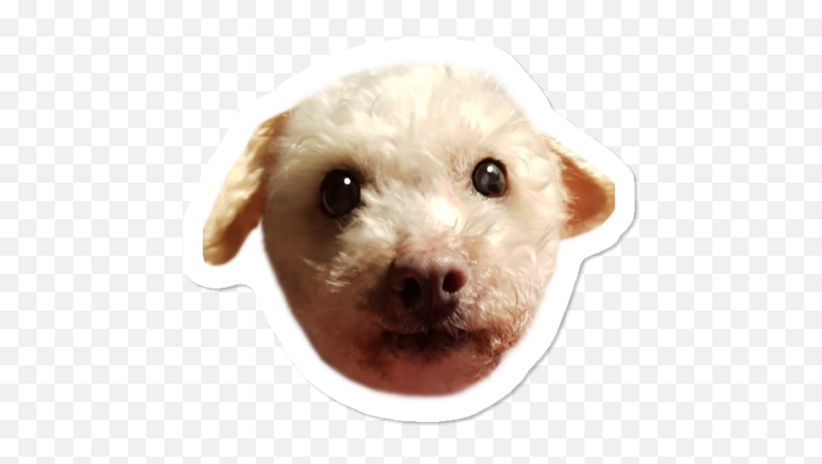 Doggo Sticker By Theentitylefthand Design Humans - Companion Dog Png,Doggo Png