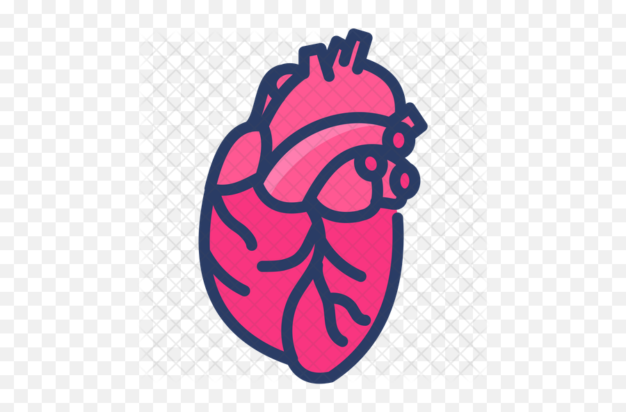 Human Heart Icon - Illustration Png,Heart Icon Png