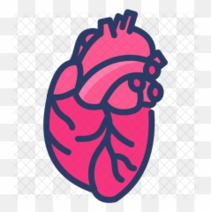 Human Heart Icon - Illustration png