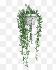 Pin By Aida Reyes - Fish Hook Hanging Plant Png,Hanging Plants Png