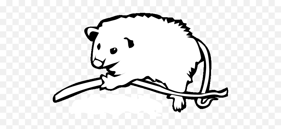 Opossum Clip Art - Clip Art Library Opossum Clipart Png,Possum Transparent