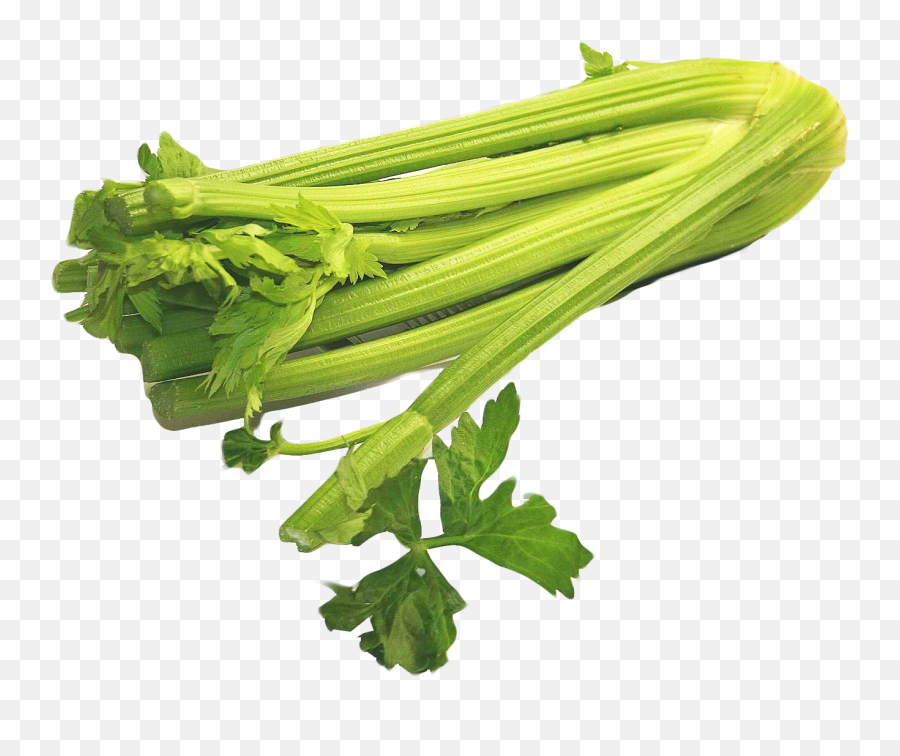Celery Png Image For Free Download - Celery Png,Celery Png