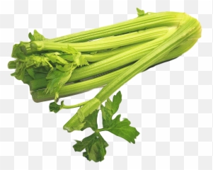 Celery Png Image For Free Download - Celery Png,Celery Png