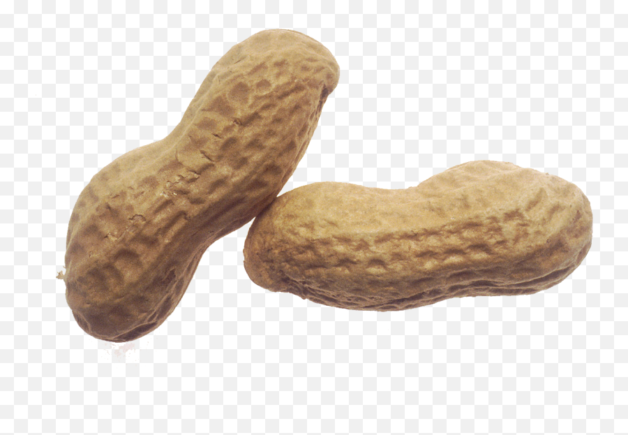 Peanut Transparent Background - Peanut Transparent Png,Peanut Png