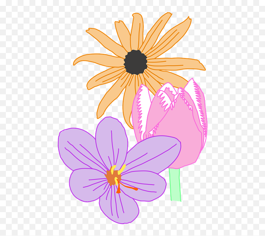 Daisy Flower Nature - Free Vector Graphic On Pixabay Susan Png,Daisies Png