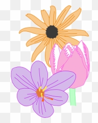 Daisy Flower Nature - Free Vector Graphic On Pixabay Susan Png,Daisies Png