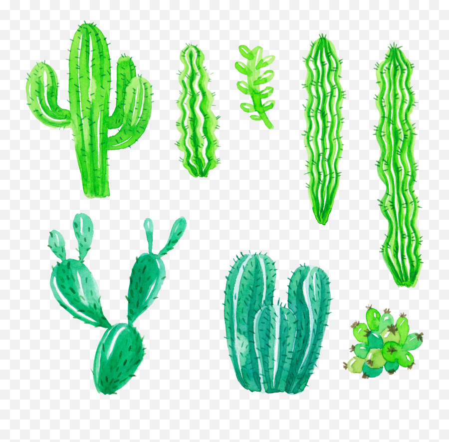 Png - Cactus Transparent Cartoon Jingfm Cactus,Cactus Transparent