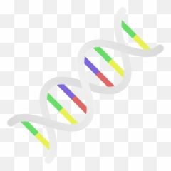 Dna Rna Strand - Dna Png,Dna Strand Png