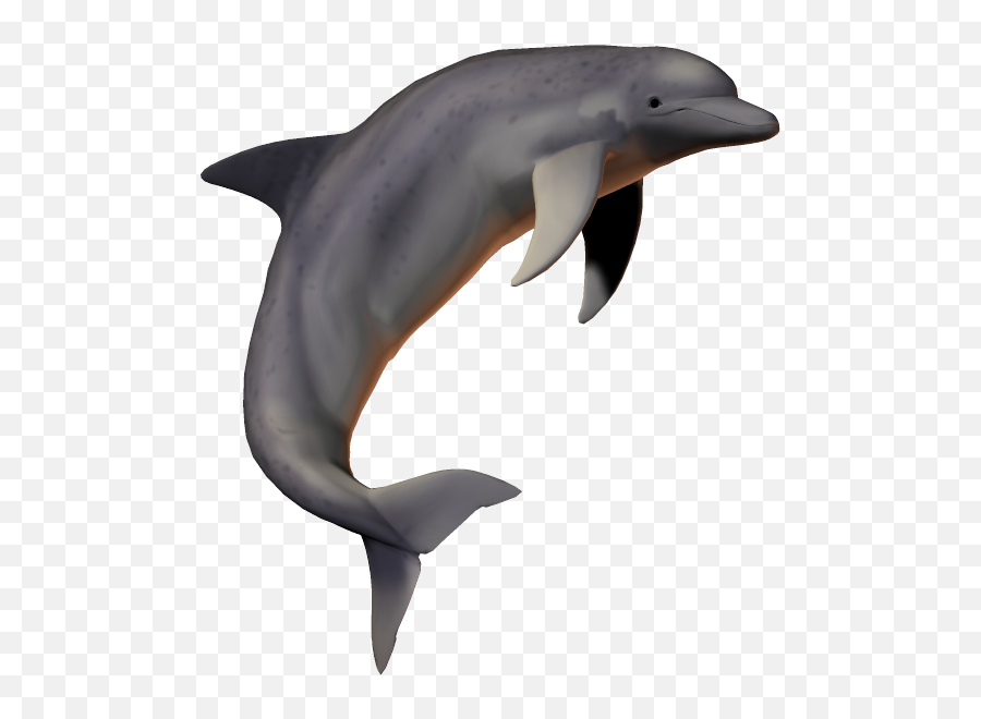 Hd Dolphin Png Fish Picsartallpng - Dolphin Pic With No Background,Dolphin Transparent Background