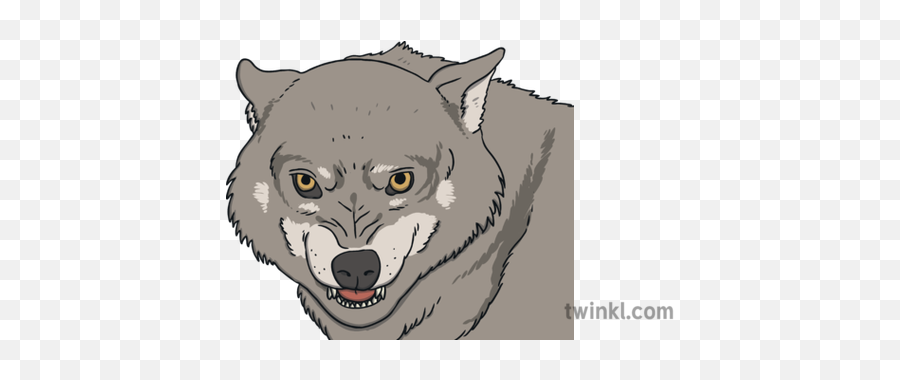 Place Value Red Riding Hood Ks1 - Alaskan Tundra Wolf Png,Wolf Eyes Png