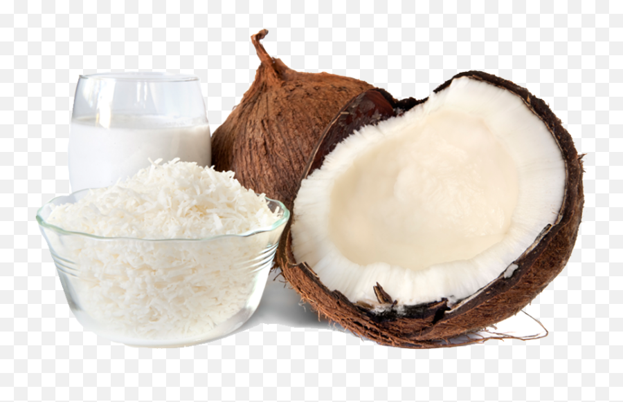 Coconut Products - Yûga Holdings Products Of Coconut Tree Png,Coconut Transparent