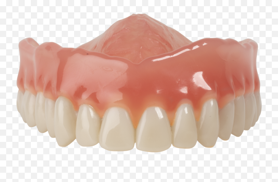 Dima Print Denture Base Material 1kg Bottle - Upper Denture Icon Pnj Png,Dentures Png