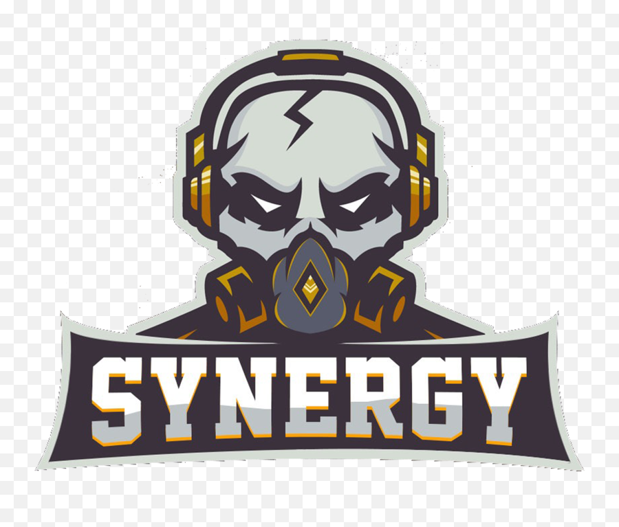 Promoting The Pakistani Gaming - Photograph Png,Synergy Clan Logo