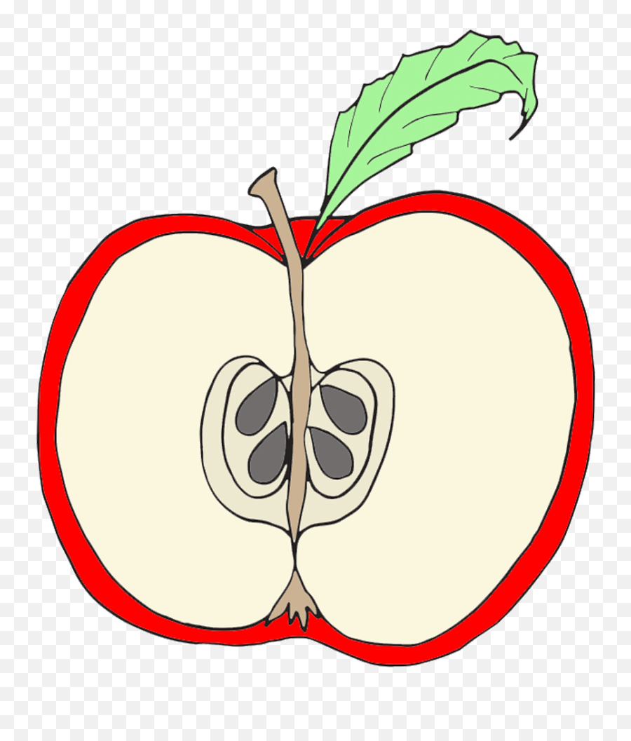 Free Apple Clip Art Pictures - Clipartix Inside Of An Apple Clipart Png,Apple Clipart Transparent