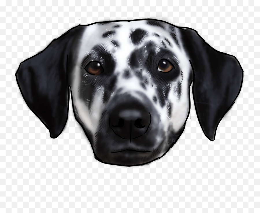 Download Dalmatian - Full Size Png Image Pngkit Dot,Dalmatian Png