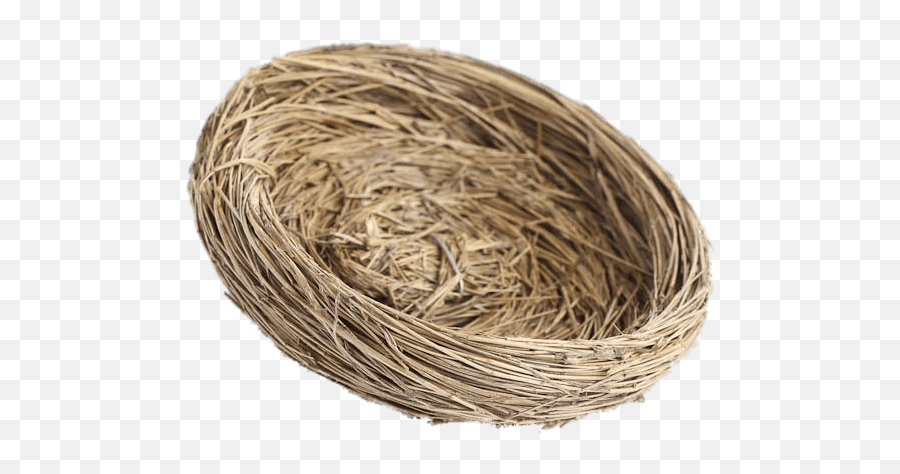 Natural Bird Nest Transparent Png - Bird Nest Transparent Background,Nest Png