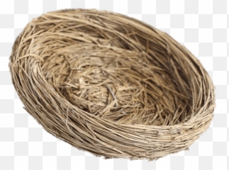 Natural Bird Nest Transparent Png - Bird Nest Transparent Background,Nest Png
