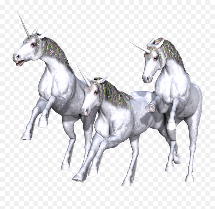Unicorn Trio Full White Transparent Png - Stickpng Unicorn Trio,Transparent Unicorn