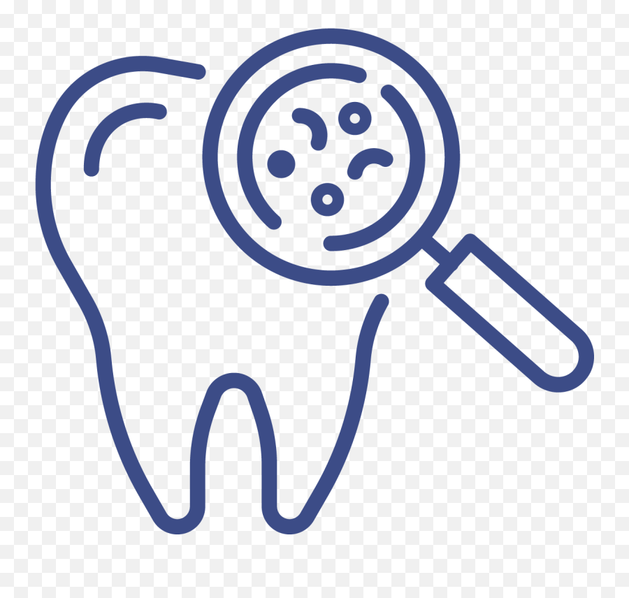 New Patient Special Carlson Family Dentistry - Dental Checkup Vector Hd Png,Patients Icon