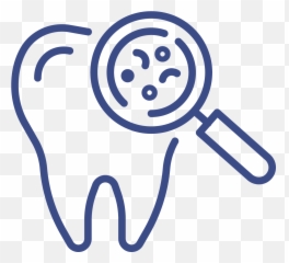 New Patient Special Carlson Family Dentistry - Dental Checkup Vector Hd Png
