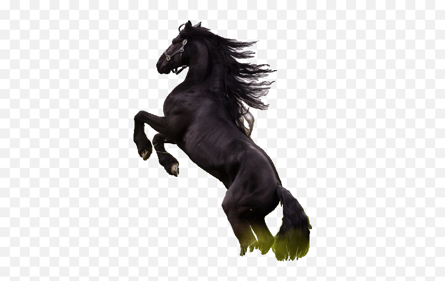 Caballos De Bronco Horse Gif - Mustang Png,Horse Icon On Tumblr