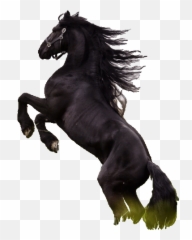 Caballos De Bronco Horse Gif - Mustang Png,Horse Icon On Tumblr