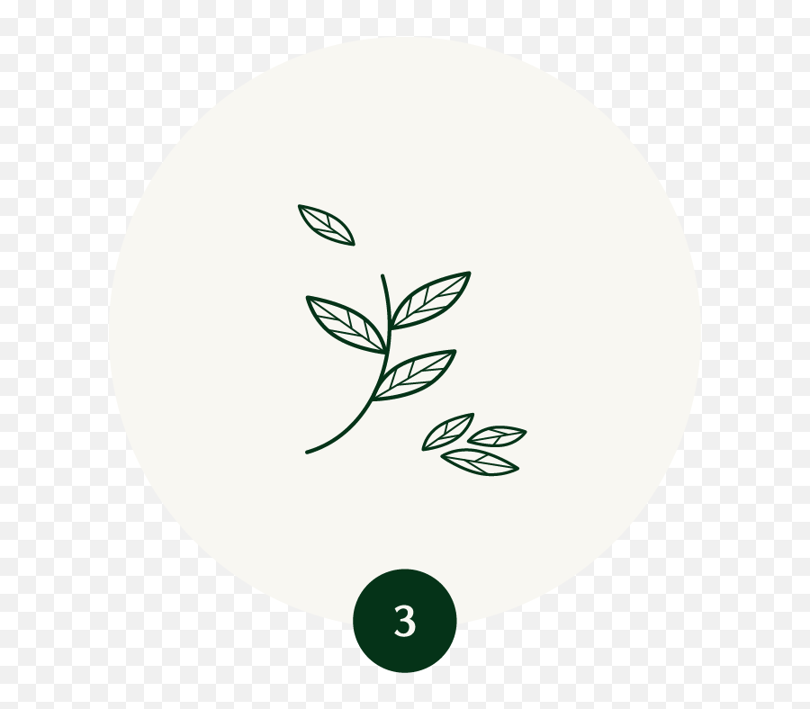 From Leaf To Cup - My Matcha Fix Dot Png,Green Tea Ice Cream Icon