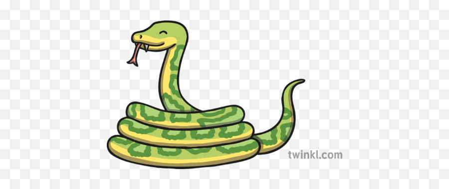 Snake 02 Illustration - Twinkl Animal Figure Png,Green Snake Icon