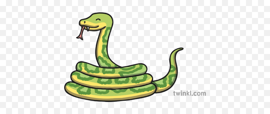 Snake 02 Illustration - Twinkl Animal Figure Png,Green Snake Icon - free  transparent png images 