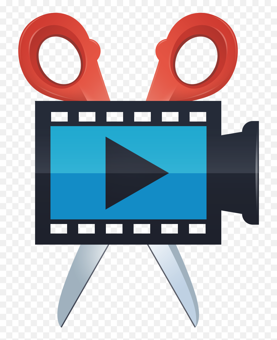Alternatives For Movavi Video Editor - Movavi Video Editor Logo Png,Acdsee Icon