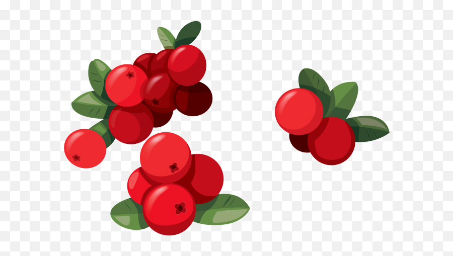 Hd Red Fruit Png Image Free Download - Red Berries Clipart,Fruit Clipart Png